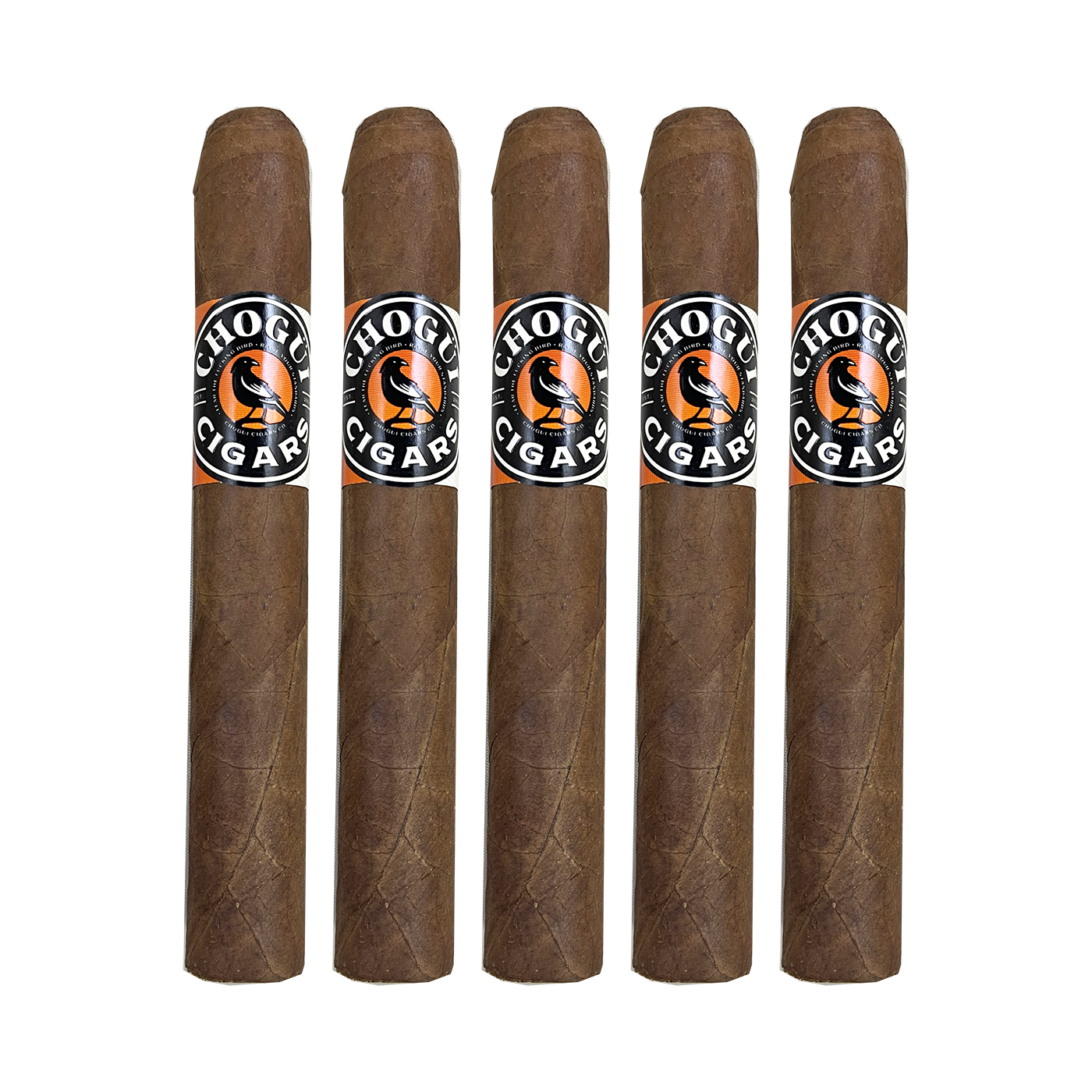 Chogui Corojo Rogusto Cigar - 5 Pack